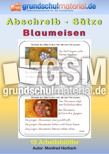 Abschreibsätze_Blaumeisen.pdf
